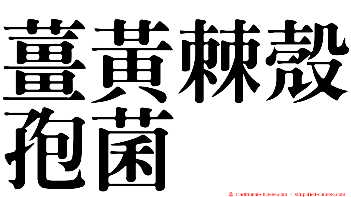 薑黃棘殼孢菌