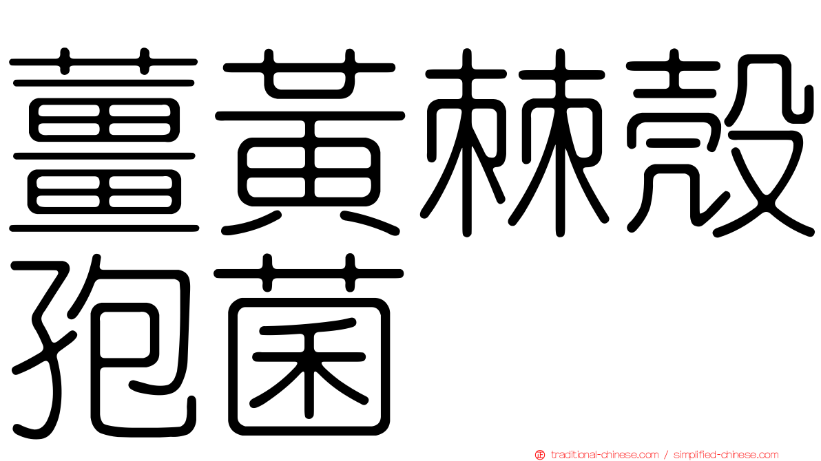 薑黃棘殼孢菌
