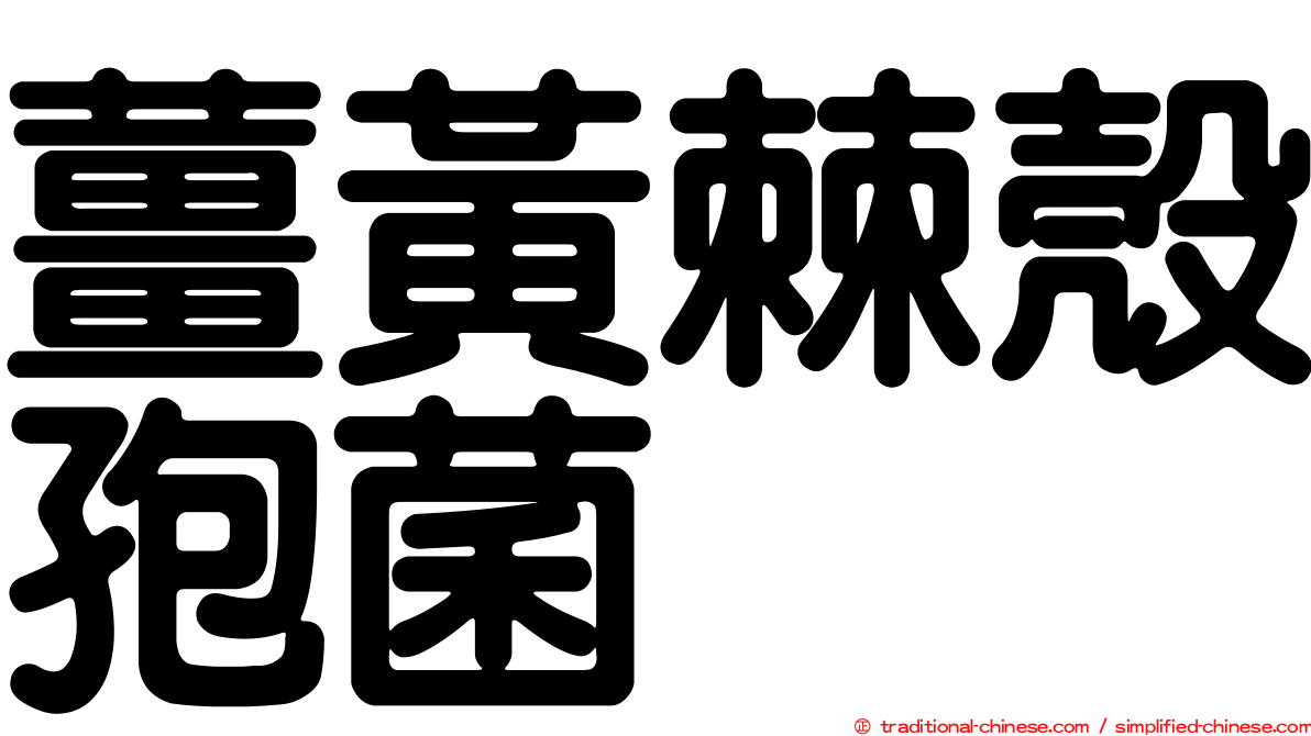 薑黃棘殼孢菌