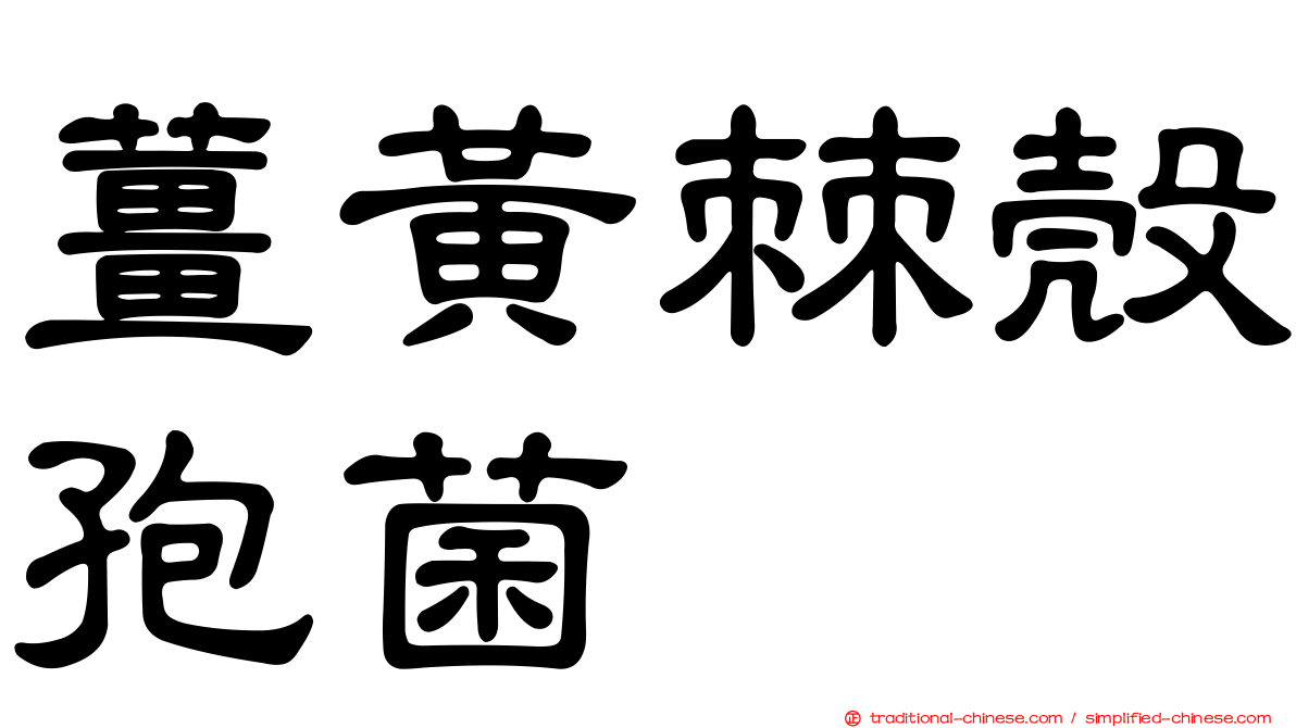 薑黃棘殼孢菌