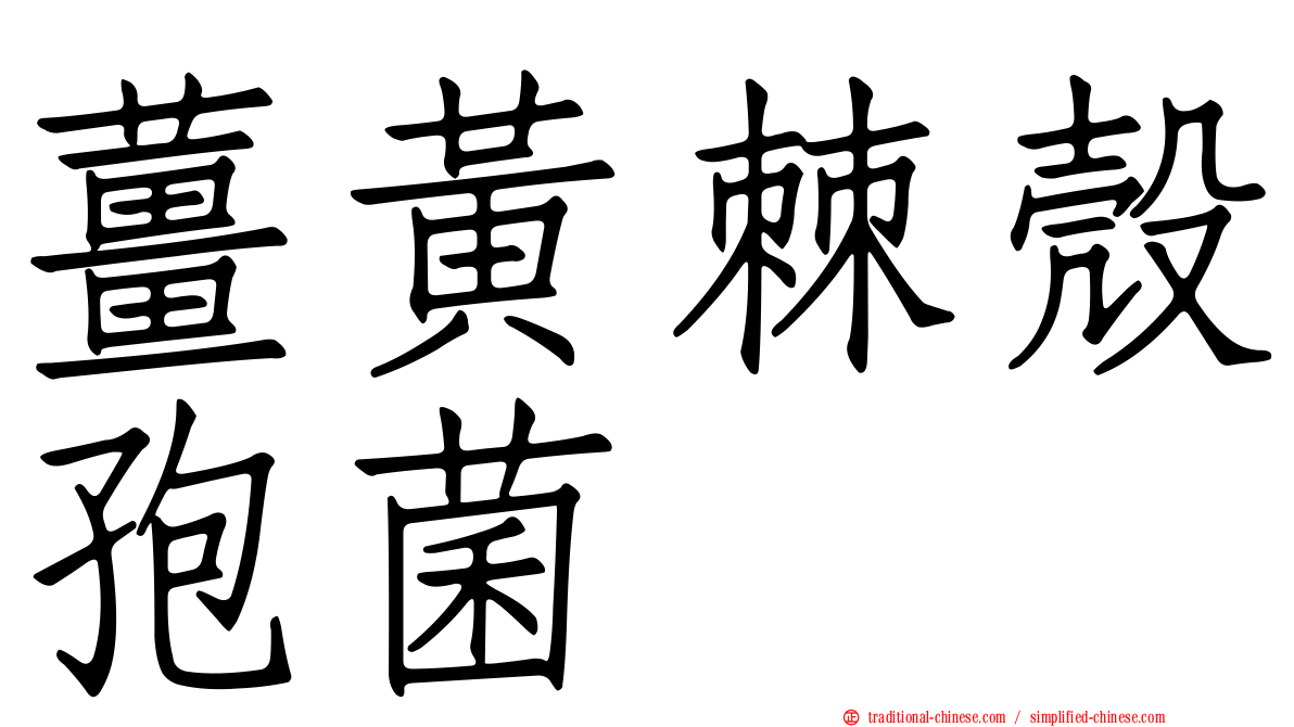 薑黃棘殼孢菌