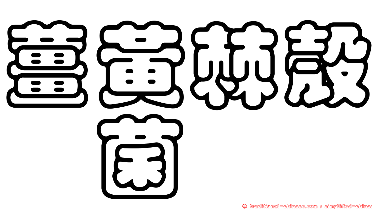 薑黃棘殼孢菌