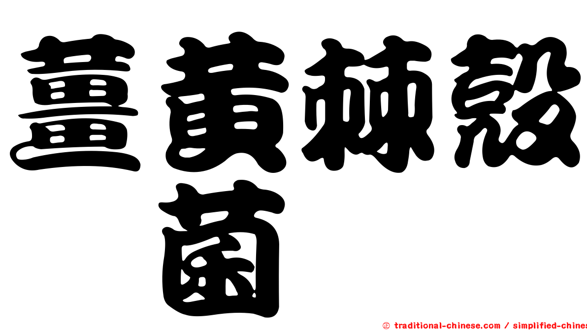 薑黃棘殼孢菌