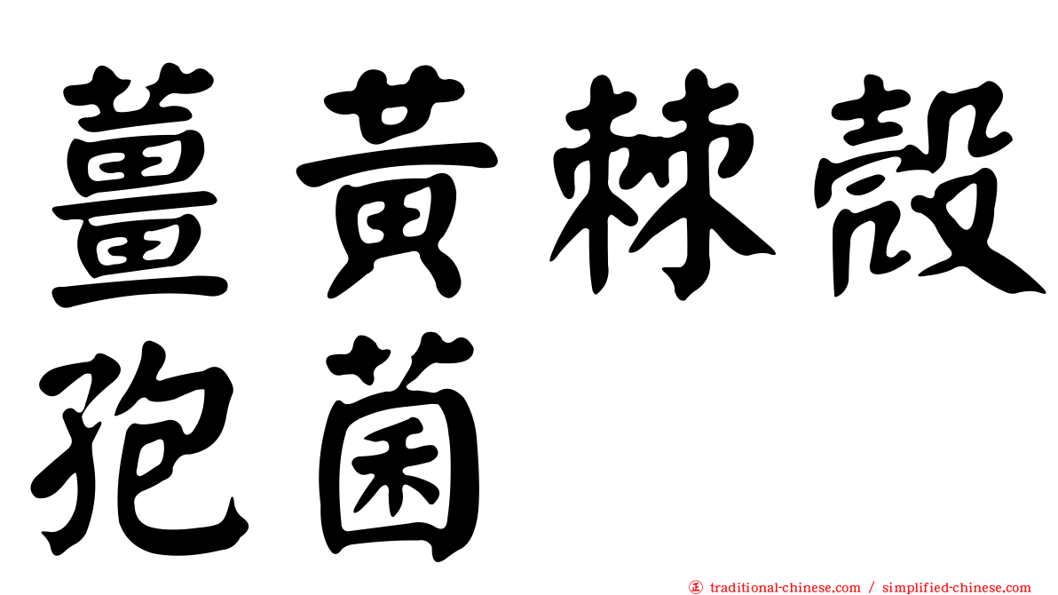 薑黃棘殼孢菌