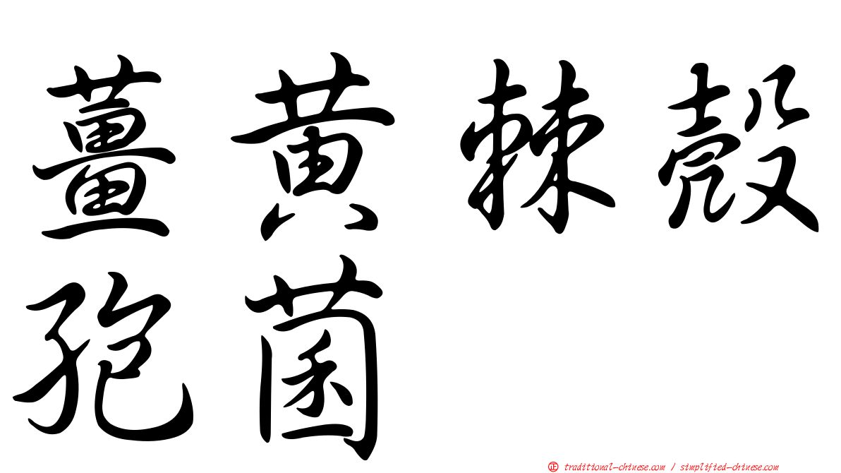 薑黃棘殼孢菌