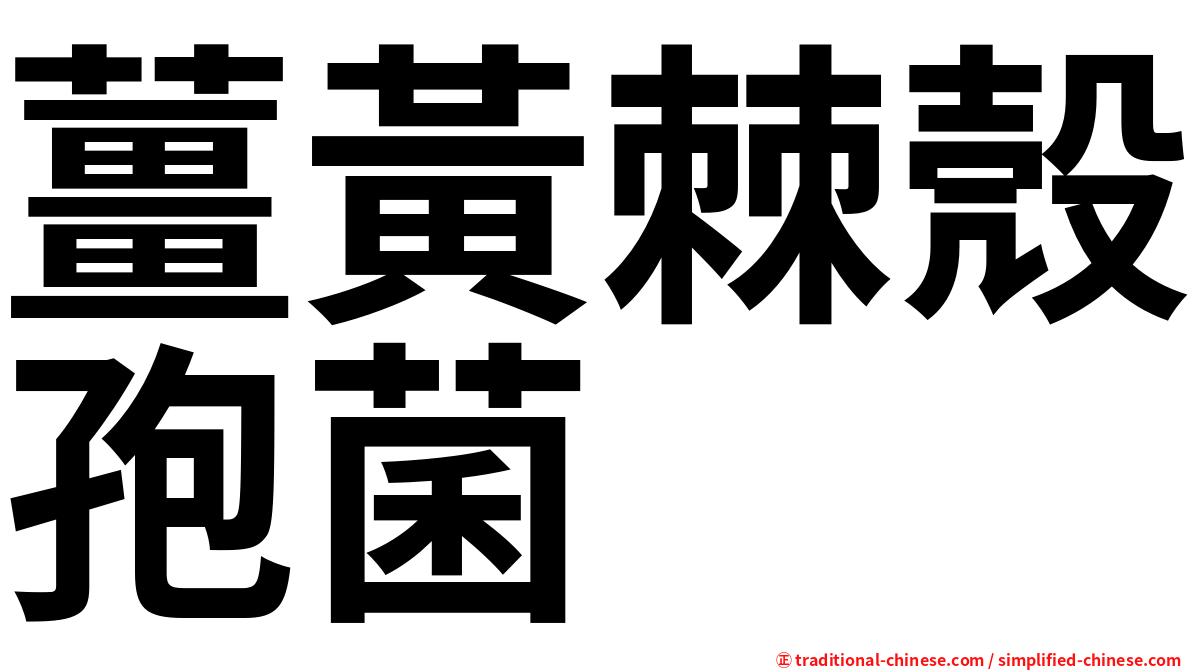 薑黃棘殼孢菌