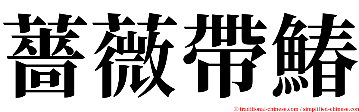 薔薇帶鰆 serif font