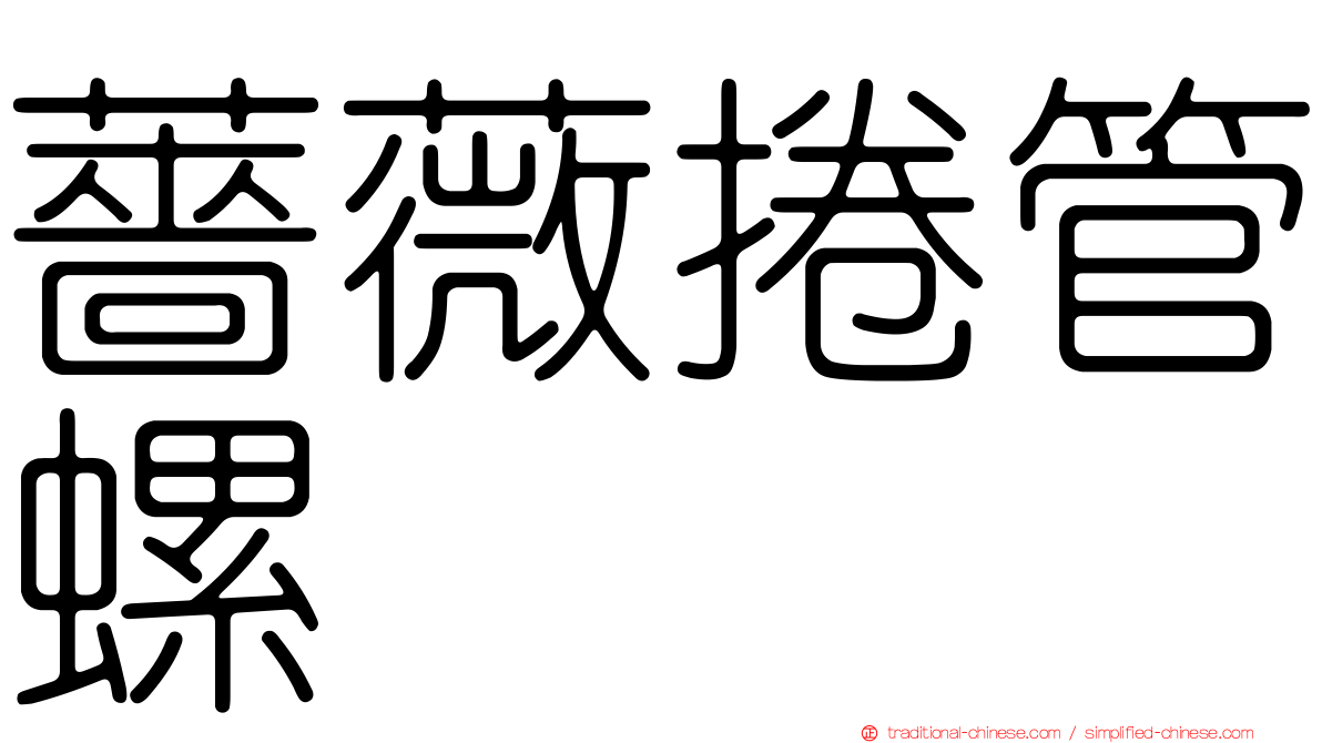 薔薇捲管螺
