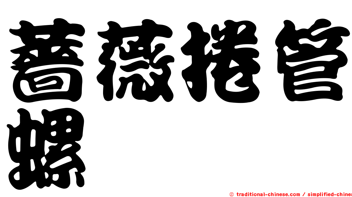 薔薇捲管螺