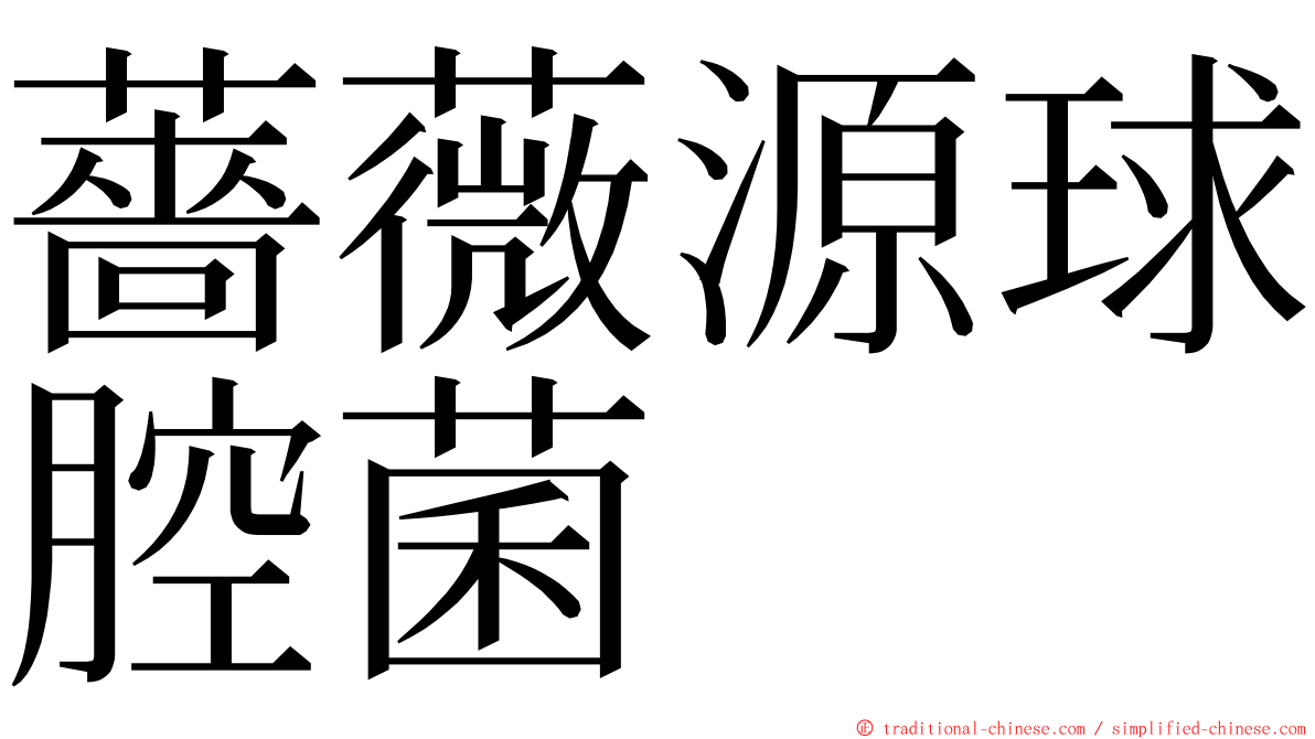薔薇源球腔菌 ming font