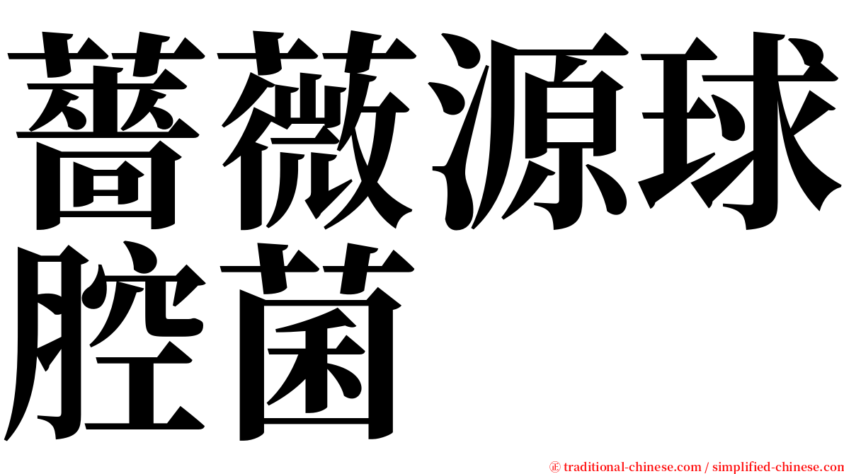 薔薇源球腔菌 serif font