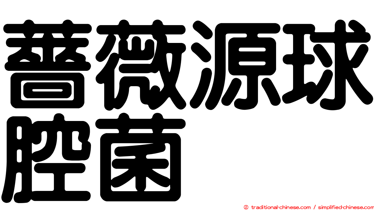 薔薇源球腔菌