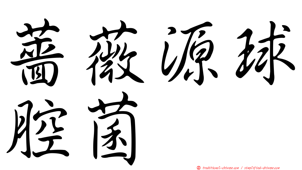 薔薇源球腔菌