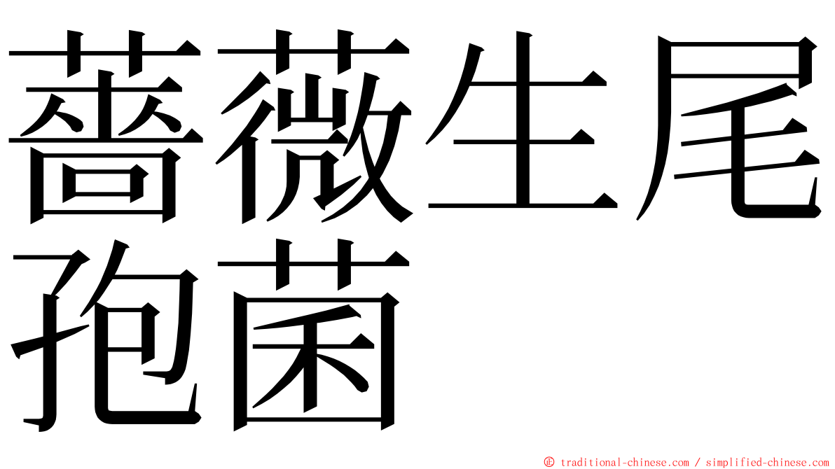 薔薇生尾孢菌 ming font