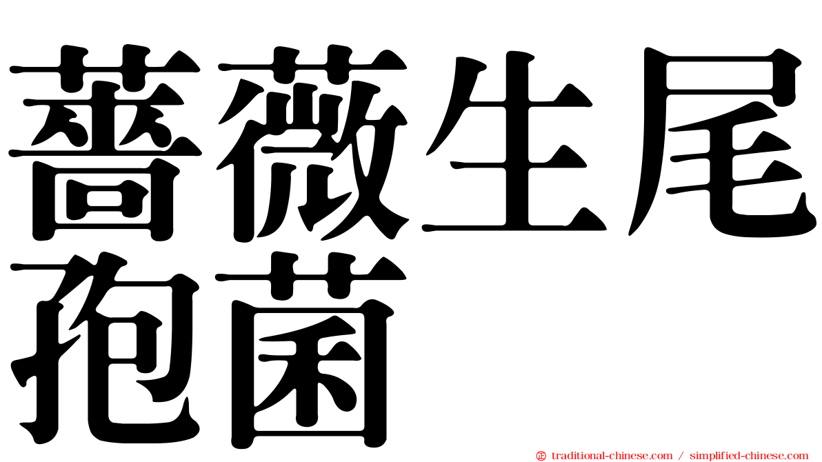 薔薇生尾孢菌