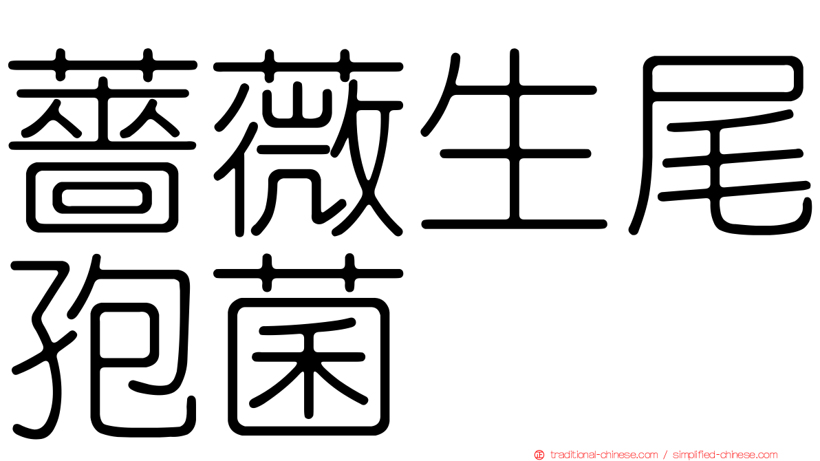 薔薇生尾孢菌