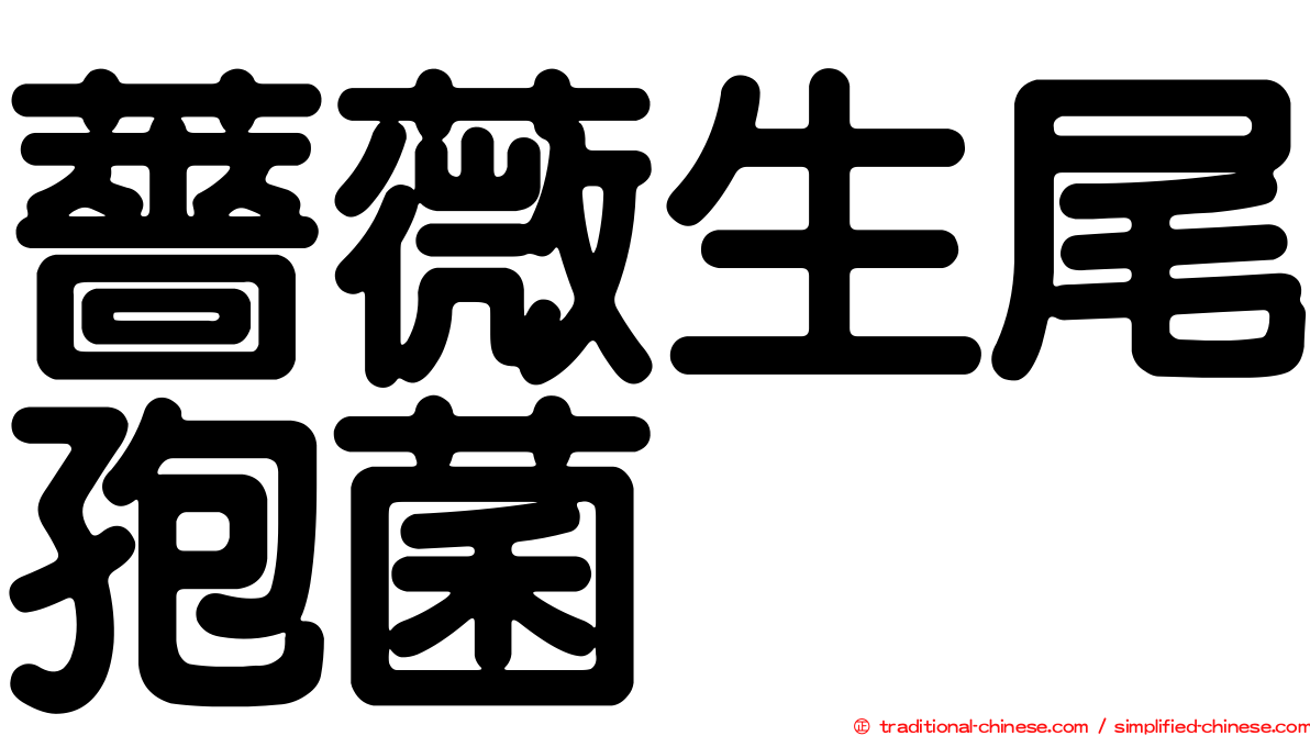 薔薇生尾孢菌