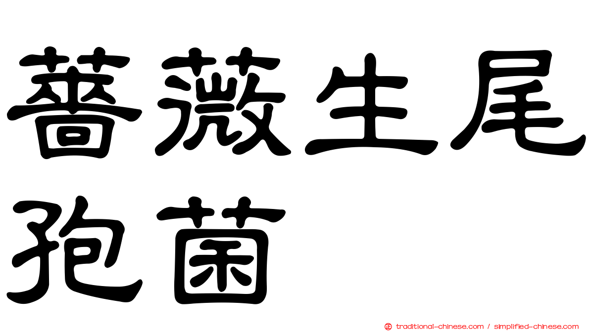薔薇生尾孢菌