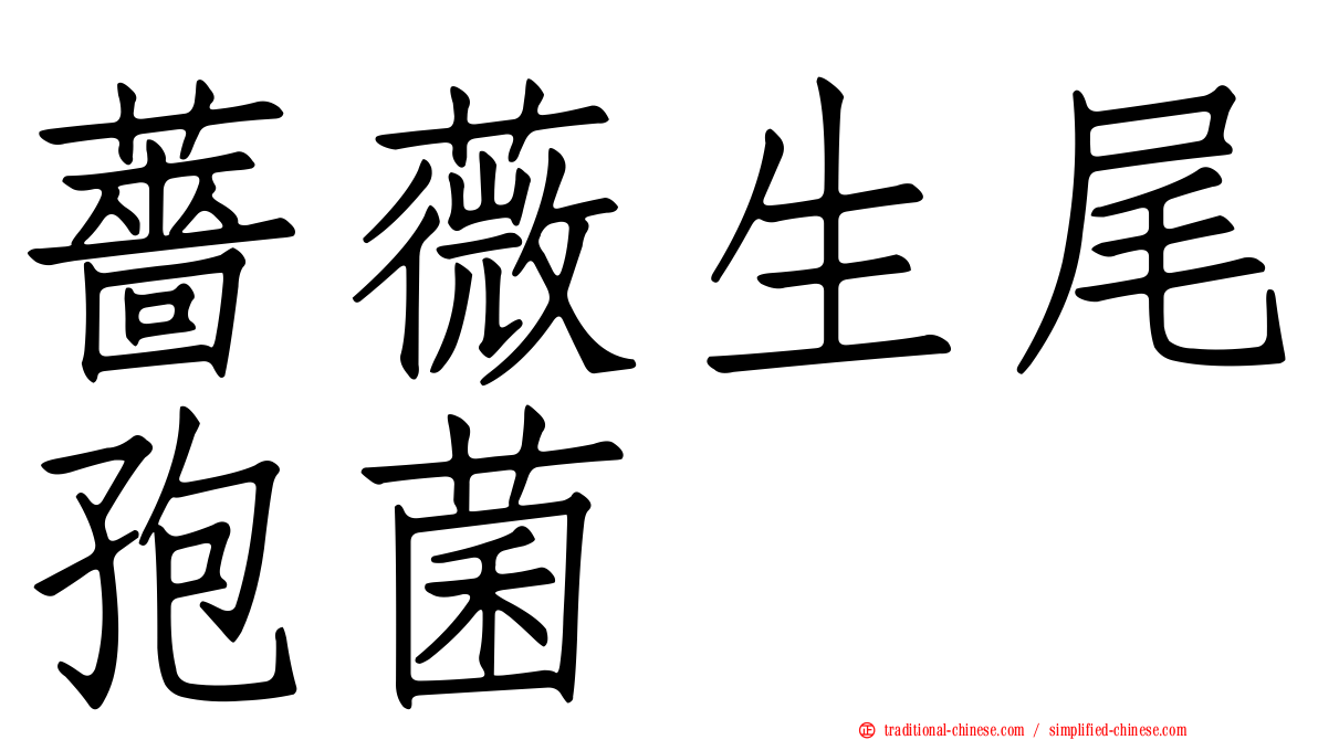 薔薇生尾孢菌