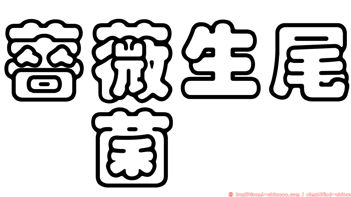 薔薇生尾孢菌