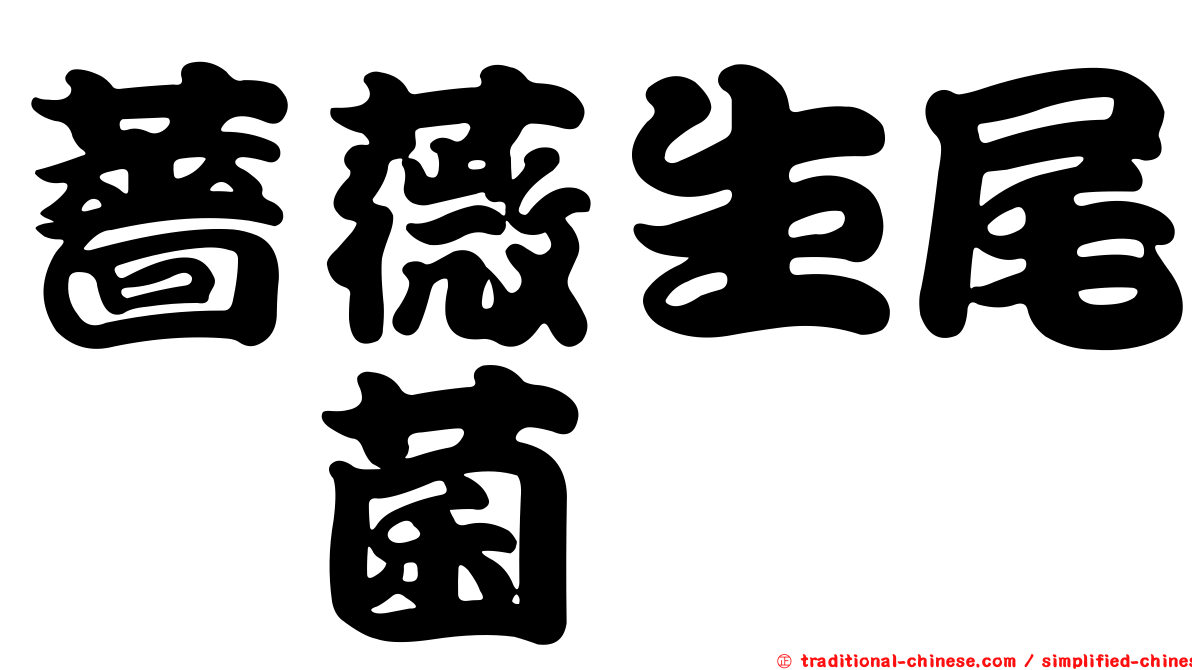 薔薇生尾孢菌