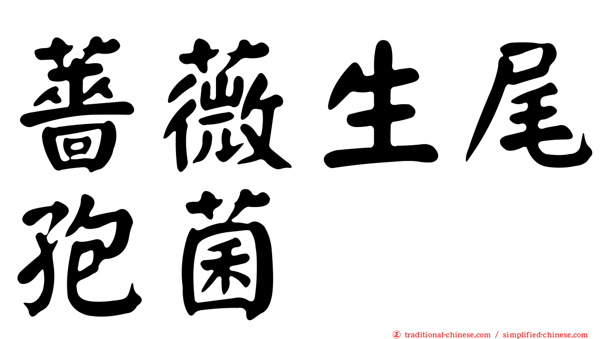 薔薇生尾孢菌