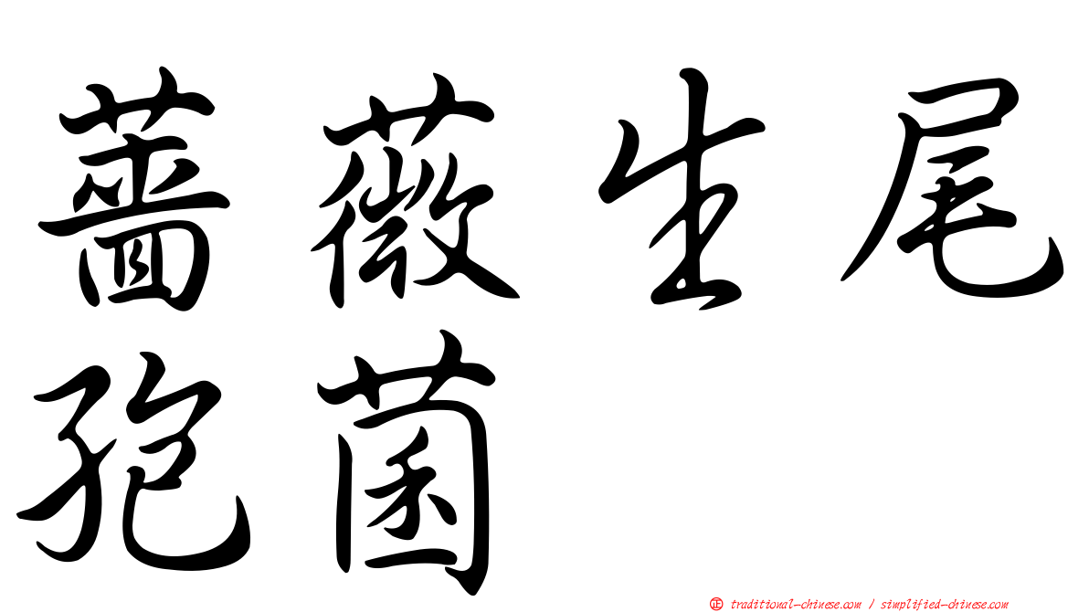 薔薇生尾孢菌
