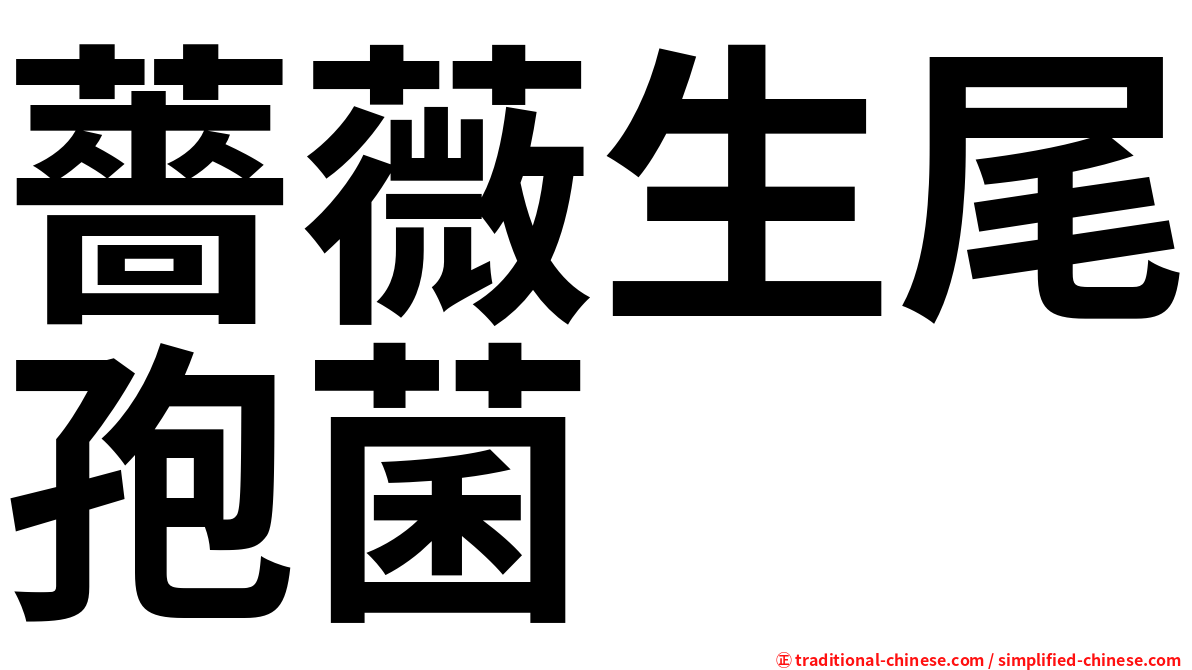 薔薇生尾孢菌