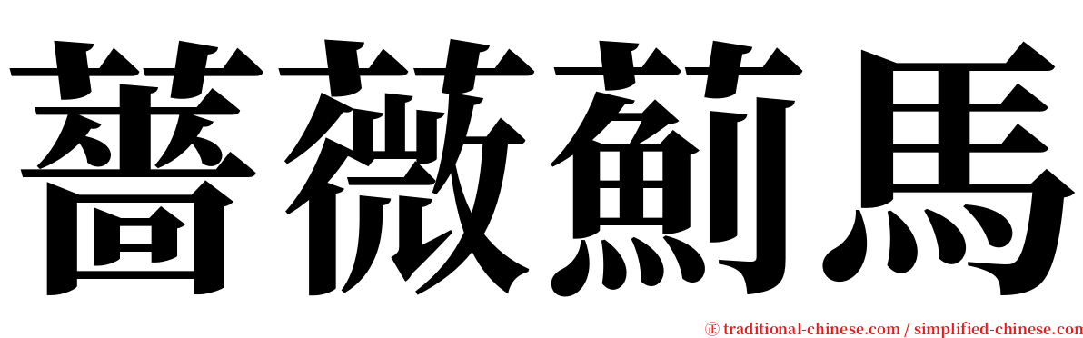 薔薇薊馬 serif font