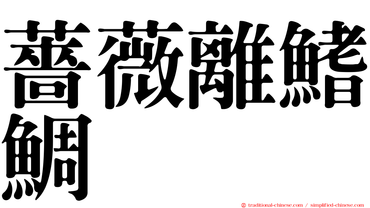 薔薇離鰭鯛