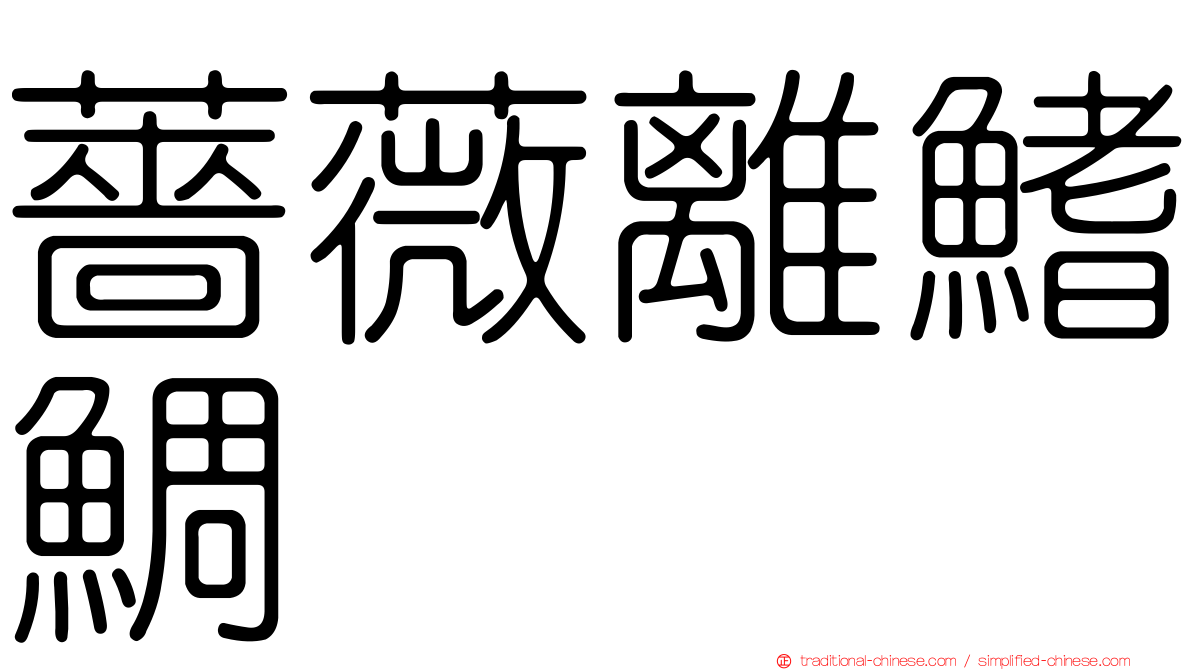 薔薇離鰭鯛