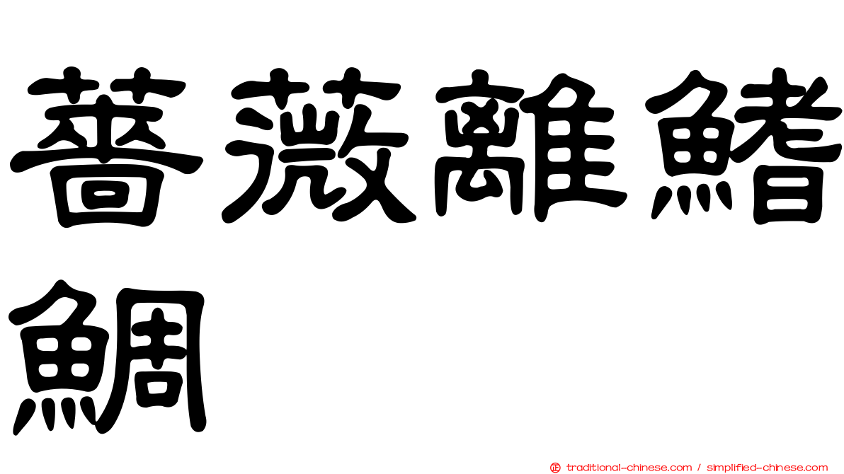 薔薇離鰭鯛