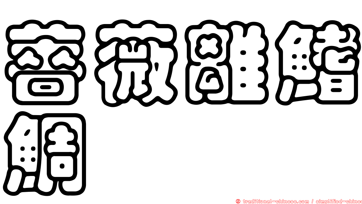 薔薇離鰭鯛