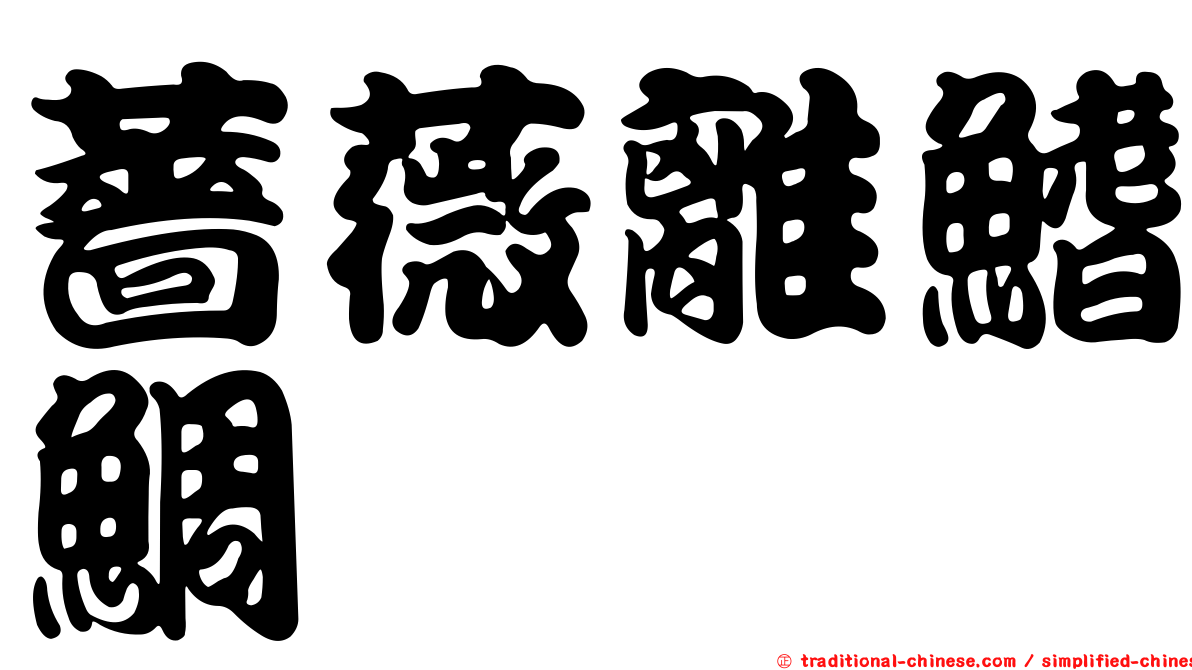 薔薇離鰭鯛