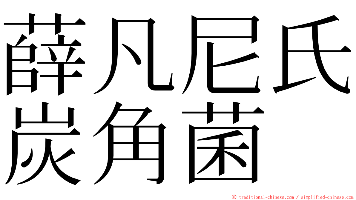 薛凡尼氏炭角菌 ming font