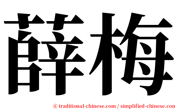 薛梅 serif font