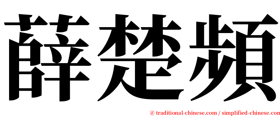 薛楚頻 serif font