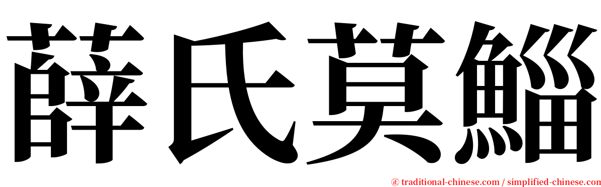 薛氏莫鯔 serif font