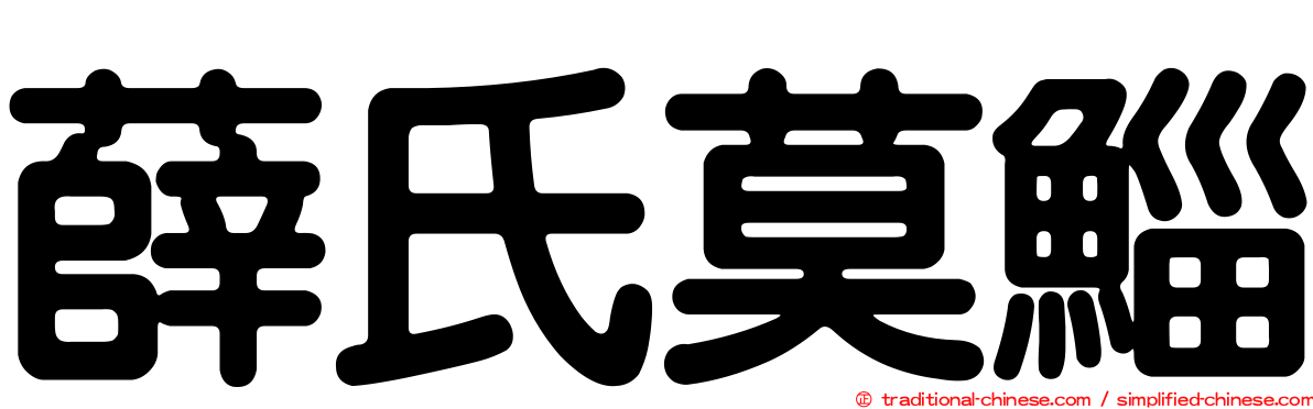 薛氏莫鯔