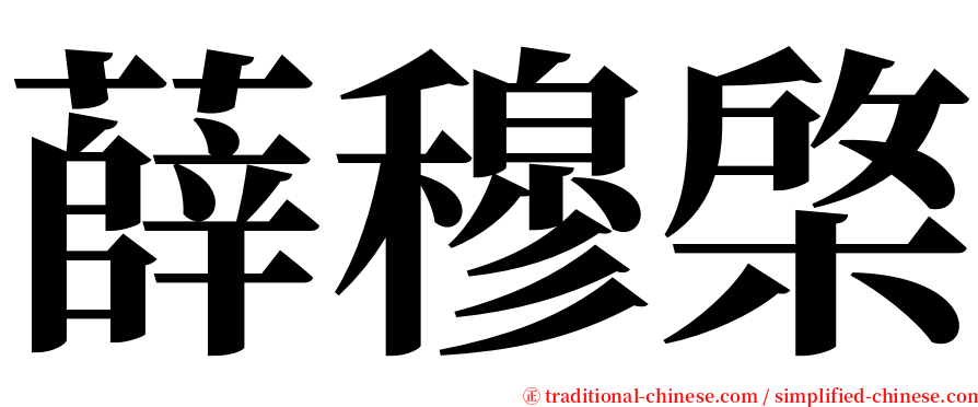 薛穆棨 serif font