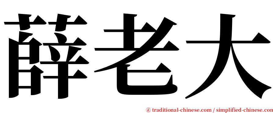 薛老大 serif font
