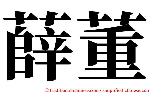 薛董 serif font