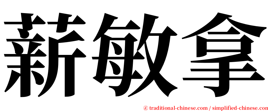 薪敏拿 serif font