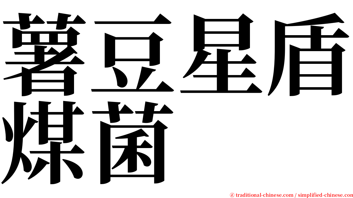 薯豆星盾煤菌 serif font