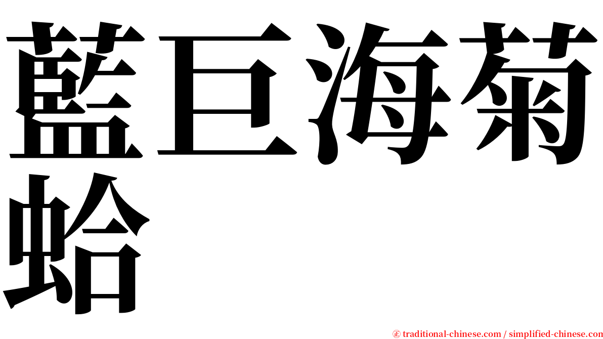 藍巨海菊蛤 serif font