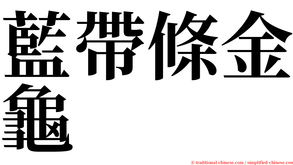 藍帶條金龜 serif font