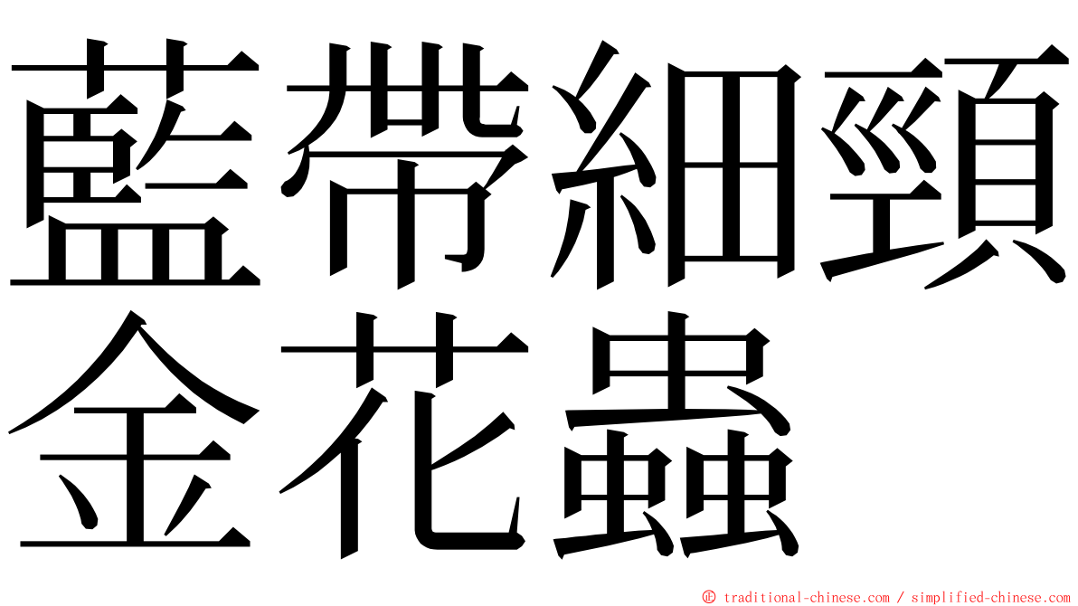 藍帶細頸金花蟲 ming font