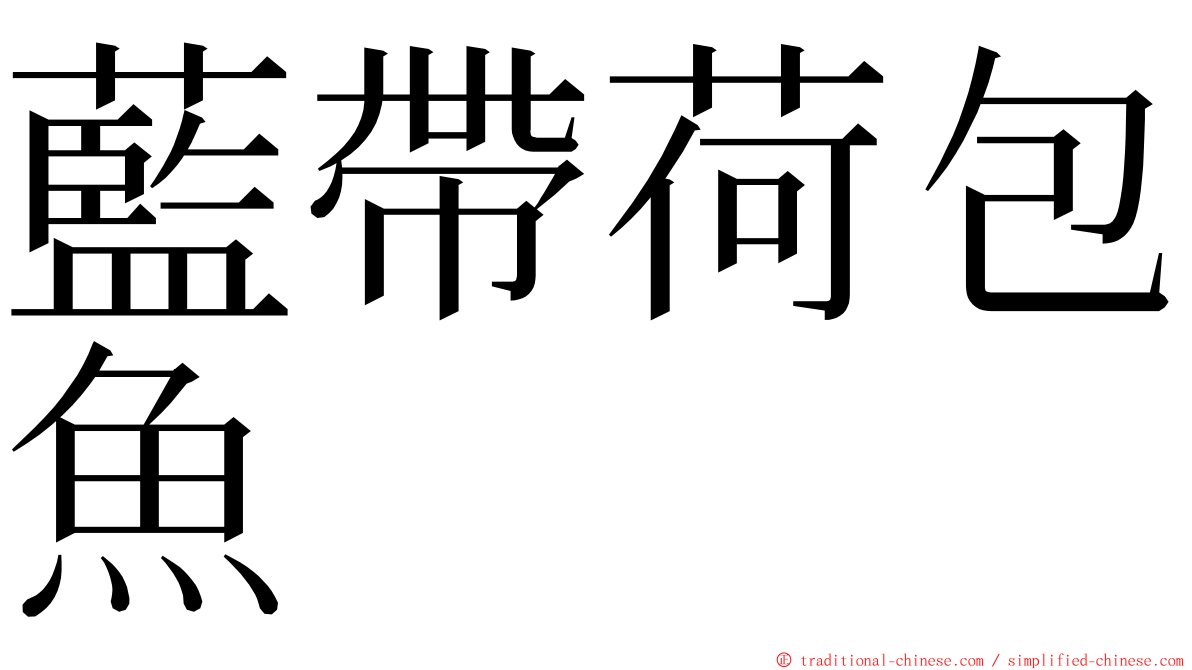 藍帶荷包魚 ming font