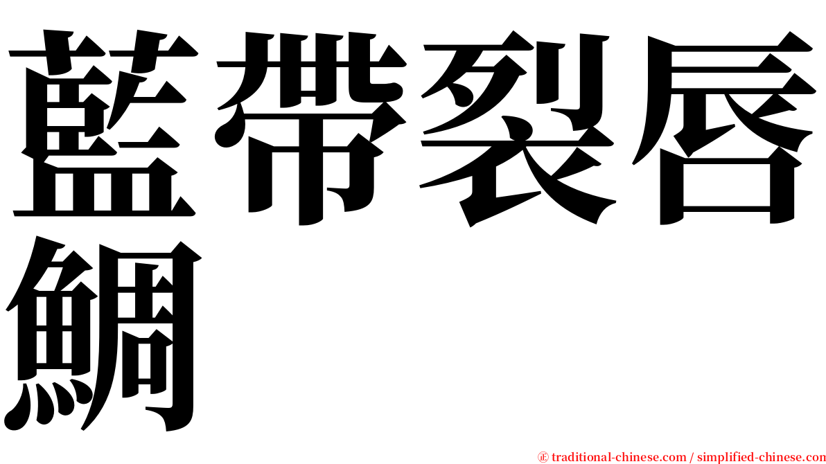 藍帶裂唇鯛 serif font