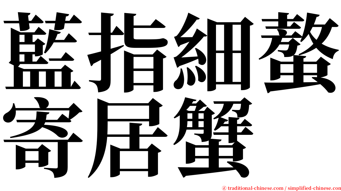 藍指細螯寄居蟹 serif font